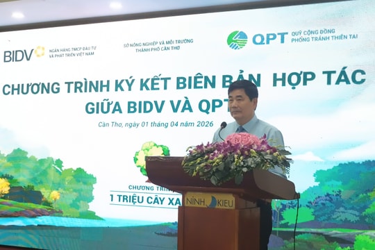 Ông Cao Đức Phát: 'Rừng ngập mặn là lá chắn xanh, bảo vệ bờ biển, đảm bảo sinh kế bền vững'