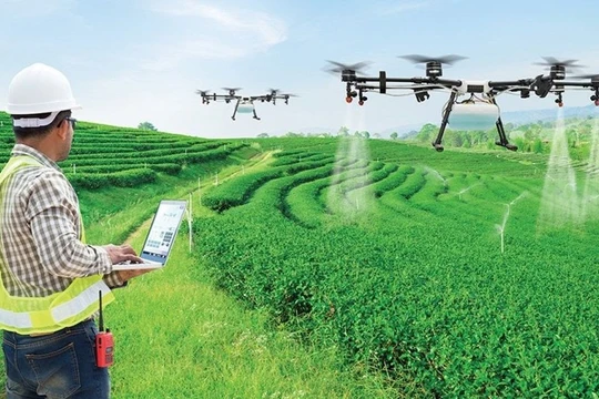 Từ giảng đường đến cánh đồng: Khoảng cách nghìn tỉ của khoa học nông nghiệp Việt