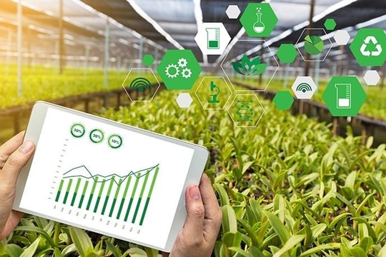Khi dữ liệu là 'dung môi' trong nông nghiệp thông minh