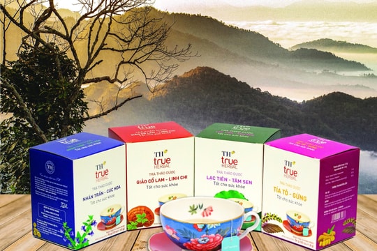 Tập đoàn TH chia sẻ về chuỗi giá trị dược liệu – công nghệ sinh học đã triển khai