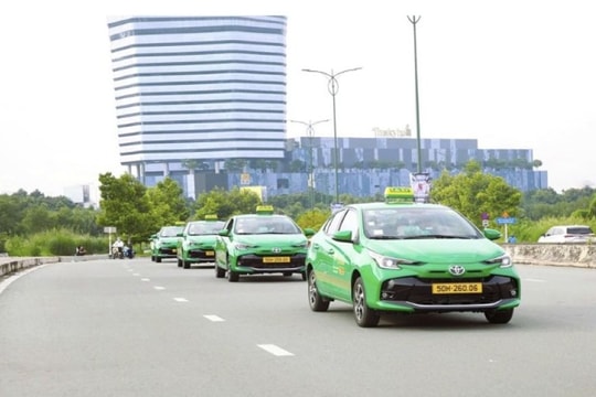 Mai Linh, từ ‘ông lớn’ taxi đến bị siết nợ 5 xe điện, đâu là bài toán 'thoát hiểm'?
