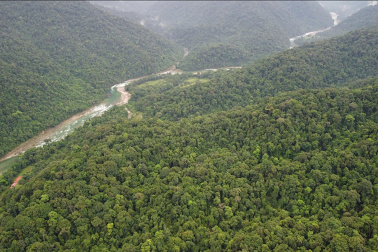 Dự án Thủy điện Giao An II: Có đáng để bức tử một dòng sông?