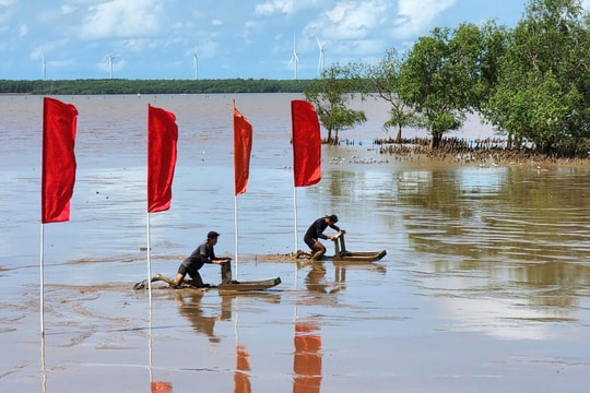 Về xứ biển Cần Thơ xem đua 'mong' của người dân Tây Nam bộ