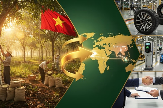 Cơ hội vàng cho ngành cao su Việt Nam giữa cơn khát xe điện?