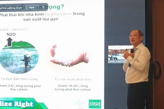 Phục hồi sức khỏe đất bằng công nghệ hữu cơ mở đường nông nghiệp xanh phát triển