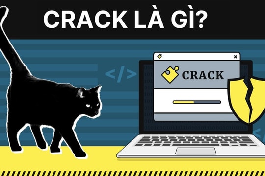Bạn có đang xài phần mềm lậu?
