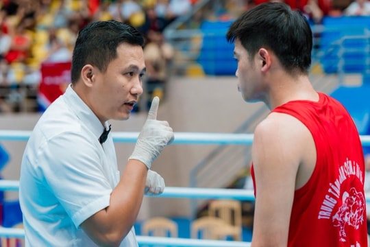 VBF và VTV tìm tiếng nói chung 'chắp cánh' boxing Việt Nam