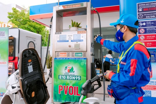 Phải làm sao khi xe đời cũ không hỗ trợ xăng E10?