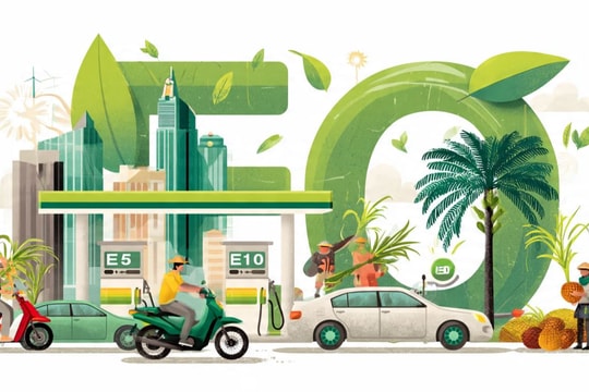 Bài toán cân bằng giữa nông nghiệp và xăng sinh học tại Đông Nam Á