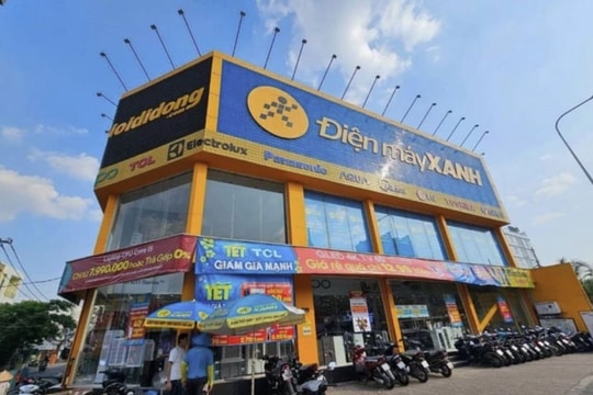 Điện Máy Xanh ‘ngồi mát ăn bát vàng’ hàng triệu USD, nhờ đâu?