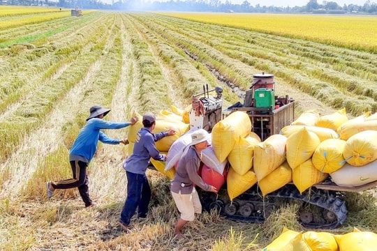 Chiến lược tài chính toàn diện: Khi công nghệ tái định nghĩa bình đẳng kinh tế