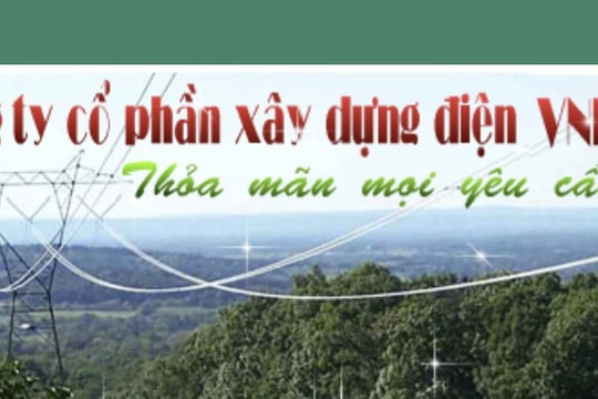 Hai doanh nghiệp ngành điện bị phạt gần 200 triệu đồng