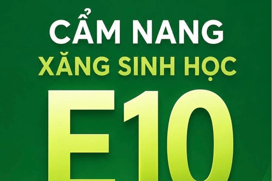 Cẩm nang bỏ túi cho hàng triệu chủ xe sử dụng xăng E10
