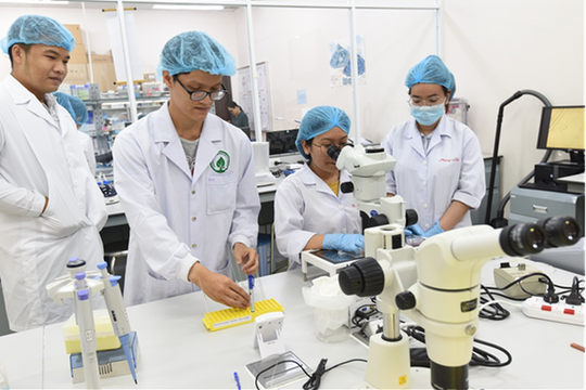 Cải cách thủ tục hành chính sở hữu trí tuệ