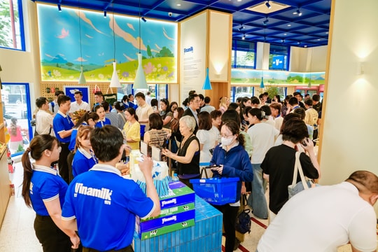 Vinamilk tiếp tục là đại diện duy nhất của ngành sữa Việt Nam trong Fortune 500 Đông Nam Á.
