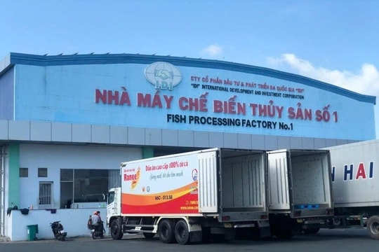 Chuyển đổi số mở rộng triển vọng xuất khẩu cá tra Việt Nam