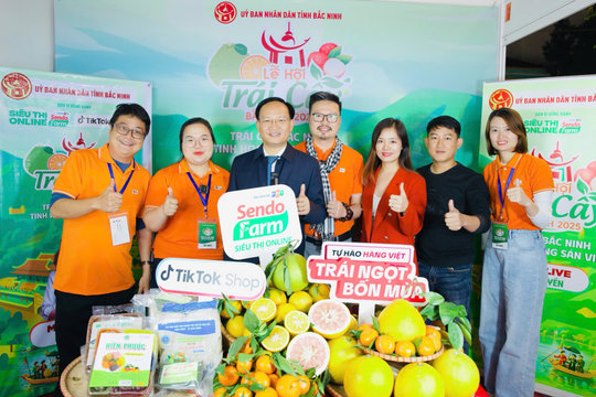 Sendo Farm ‘bỏ cuộc chơi’: Thêm 1 cái kết đắng trên thị trường thương mại điện tử khốc liệt