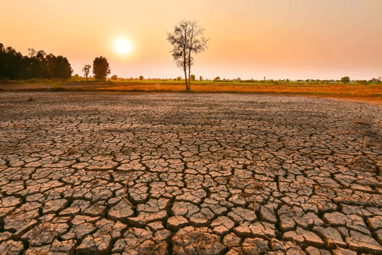 Câu chuyện “Siêu El Nino” 150 năm trước gây lo ngại cho 2026