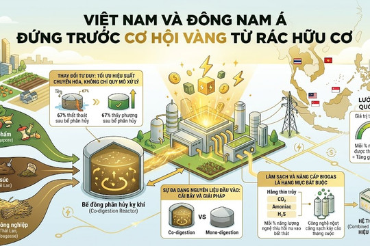 Tiềm năng điện sinh học Việt Nam và châu Á từ rác hữu cơ