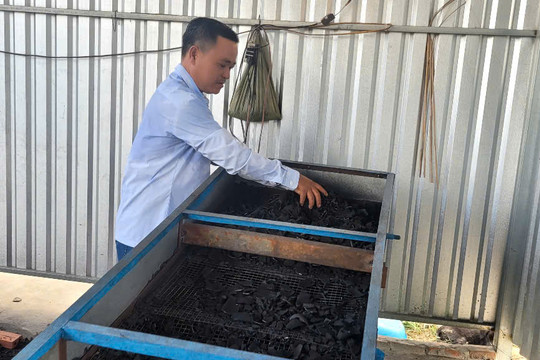 Biến gáo dừa thành ‘vàng xanh’ bằng công nghệ tuần hoàn