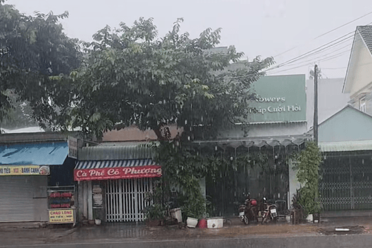 Thời tiết hôm nay 11/7: Hà Nội mưa dông diện rộng