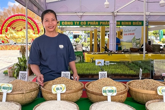 Cà Mau: Ba trụ cột để hạt gạo 'xanh' vươn xa