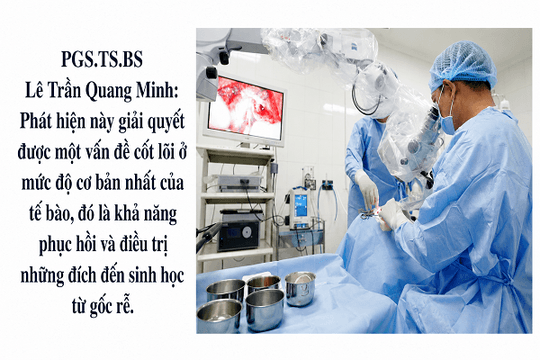 Đột phá tái tạo tế bào thính giác: Bao giờ người điếc nghe lại được?