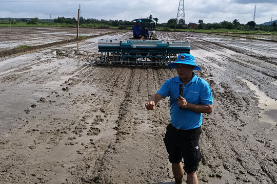 Chuyển đổi số trong giám sát môi trường và quản lí canh tác lúa vùng ĐBSCL