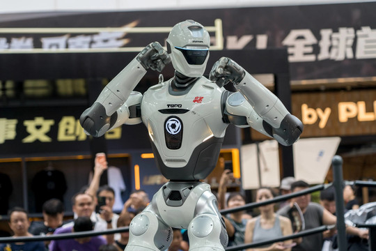 Xem robot hình người lần đầu thượng đài MMA