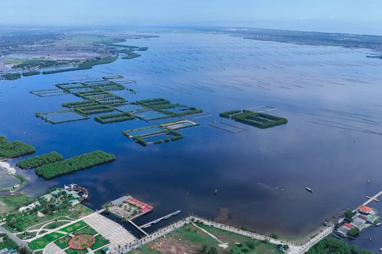 Phần tư thế kỷ ngóng trông một cây cầu