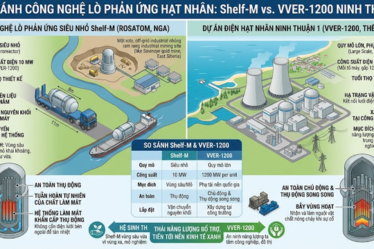 Công nghệ lò phản ứng hạt nhân siêu nhỏ Shelf-M có gì lạ?