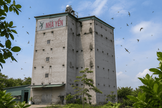 Từ sáng chế Mỹ đến công nghệ xanh cho nông nghiệp Việt Nam