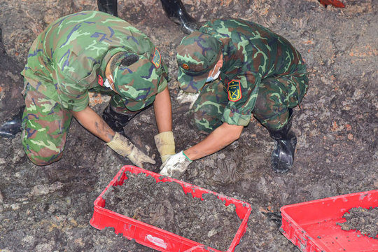 TP.HCM đã quy tập 125 hài cốt liệt sĩ tại Công viên Lê Thị Riêng