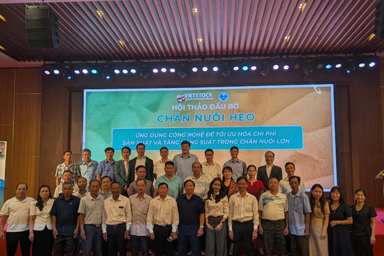 Đưa AI vào... chuồng lợn: Công nghệ đã thay đổi ngành chăn nuôi như thế nào?