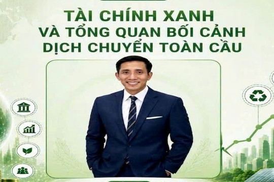 Sa kê có thể thành cây lương thực xanh của Việt Nam