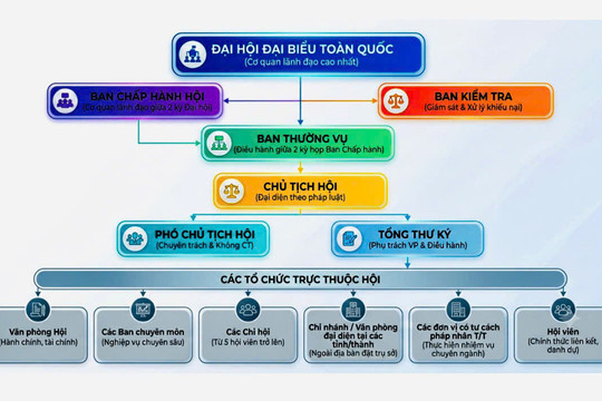 TỔ CHỨC BỘ MÁY CỦA HỘI THÔNG TIN KHOA HỌC VÀ CÔNG NGHỆ VIỆT NAM THEO ĐIỀU LỆ SỬA ĐỔI, BỔ SUNG MỚI NHẤT
