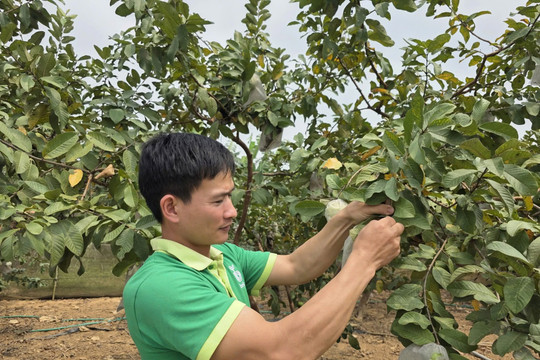 Muốn làm nông nghiệp thông minh, nông dân trước hết phải thay đổi từ tư duy (Bài 2)