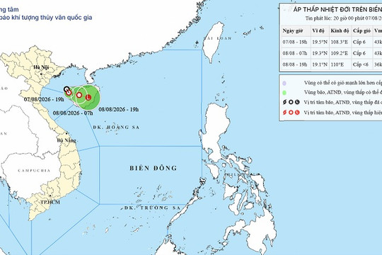Thời tiết hôm nay 8/8: Áp thấp nhiệt đới mới ảnh hưởng thế nào đến Việt Nam?