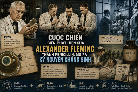 Cuộc chiến biến phát hiện của Alexander Fleming thành penicillin, mở ra kỉ nguyên kháng sinh