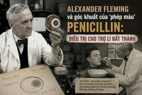 Alexander Fleming và góc khuất của ‘phép màu’ penicillin: Điều trị cho trợ lí bất thành