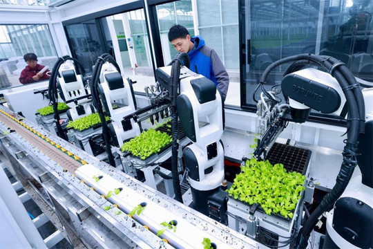 Trung Quốc đưa AI, robot vào nông nghiệp, một người có thể quản lý hơn 600ha