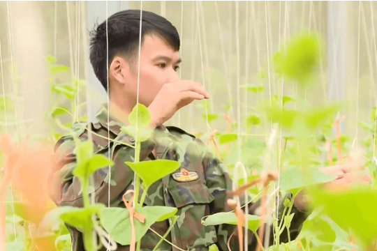 HTX Thái Nguyên chuyển đổi số: Đưa đặc sản quê lên sàn, bán hàng đi muôn nơi