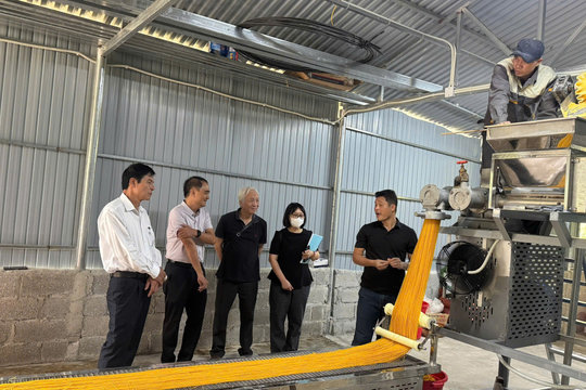 Chuyên gia bật mí công nghệ 'biến' nông, thủy sản thô để... ăn liền, giá trị tăng cao, đắt khách