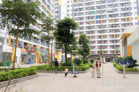 Nhà ở cho thuê, làm gì để trở thành trụ cột của quốc gia? Bài cuối: Chuyển từ mua sang thuê nhà để ở - xu hướng cho người có thu nhập thấp?