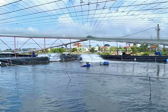 Từ anh thương binh nghèo đến ông chủ trang trại nuôi tôm công nghệ cao doanh thu chục tỉ mỗi năm