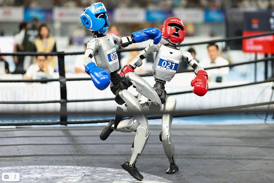 Robot hình người ăn mừng sau khi thấy đối thủ bất tỉnh trên sàn kickboxing