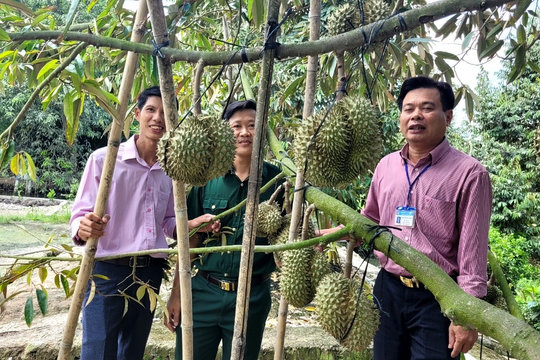 Trồng sầu riêng 30 năm, lão nông miền Tây thật thà nói về nỗi ngại khi mua máy về mà không biết dùng