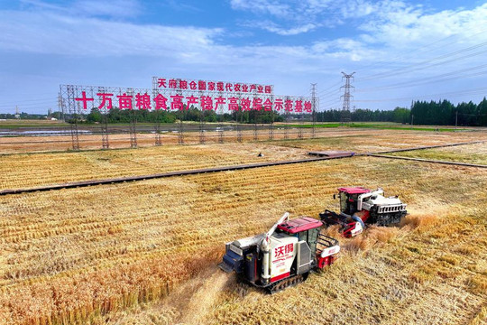 AI có thắng nông dân ở “trận đấu” cấy trên 66,7ha lúa ở Tứ Xuyên, Trung Quốc?