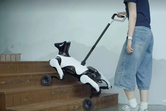 Robot chó dẫn đường cho người khiếm thị ra mắt tại Trung Quốc