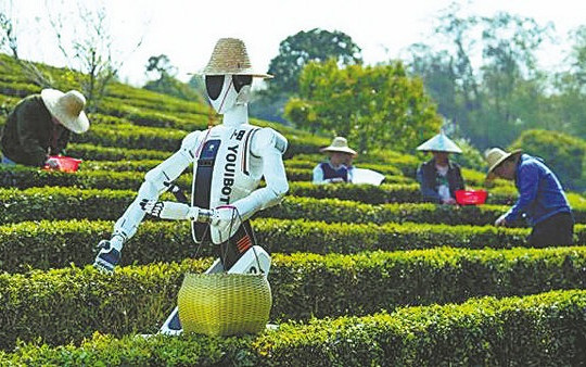 Robot hình người có thể là nông dân thế hệ mới hay chưa?